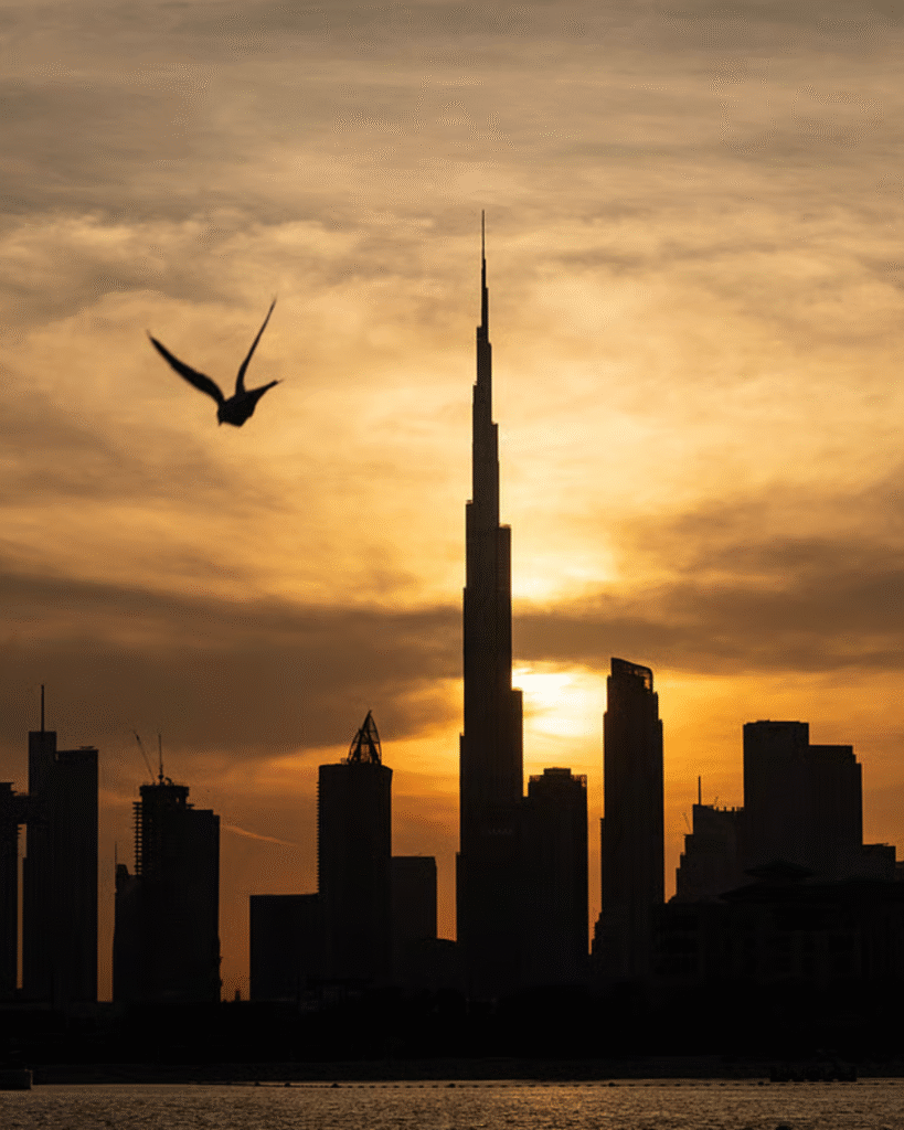 Dubai property investment