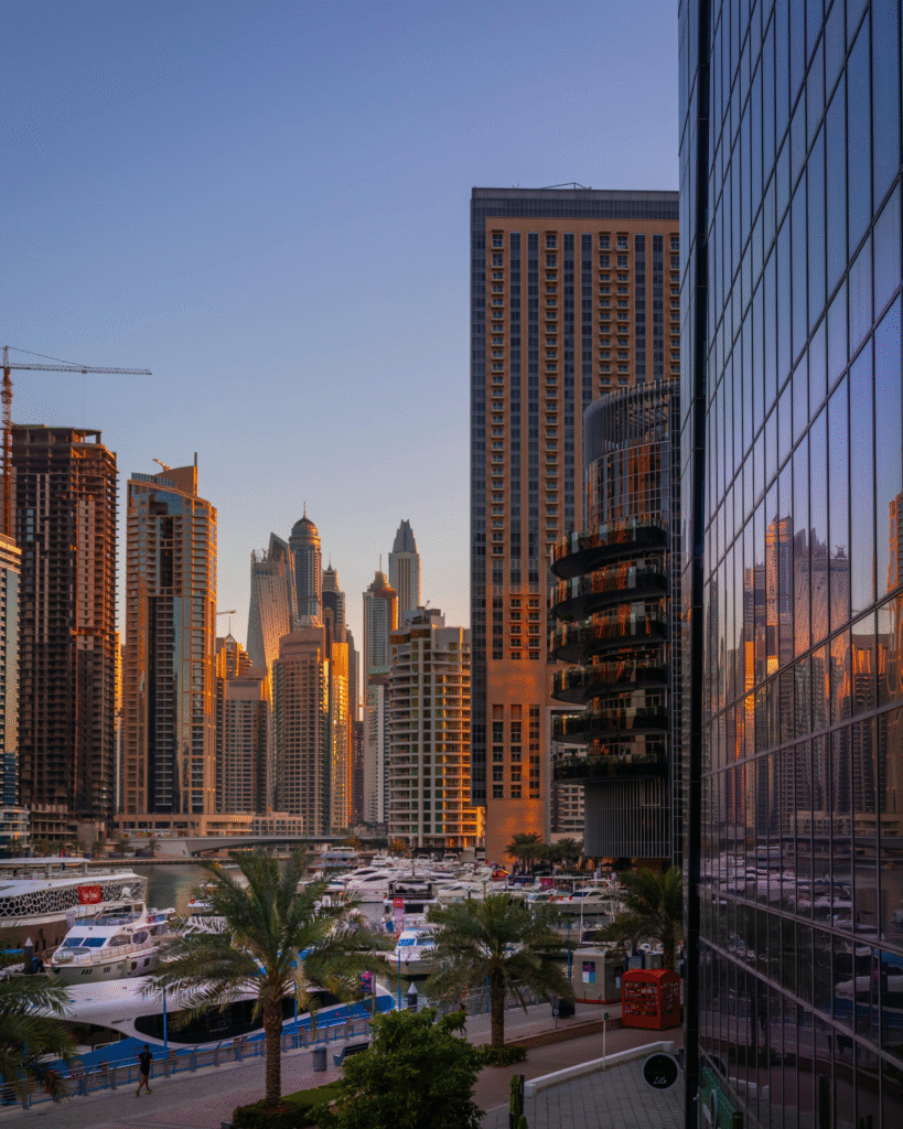 Dubai Property