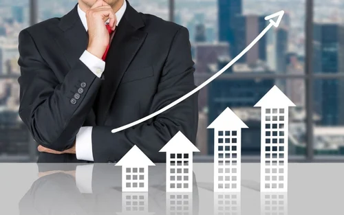 real estate consultant